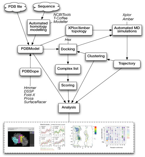 Biskit workflow